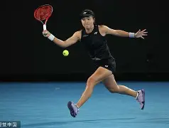 从阿扎伦卡连续五场比赛得分超过关键助攻到凯恩在法国队比赛中势不可挡，密尔沃基雄鹿围绕德国杯刷新队史纪录的简单介绍